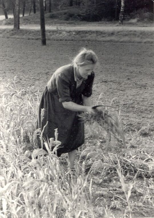 Feldarbeit in Neudorf