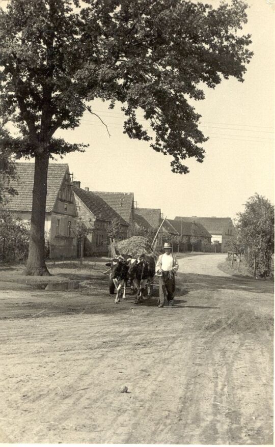 Straßenraum in Merzdorf