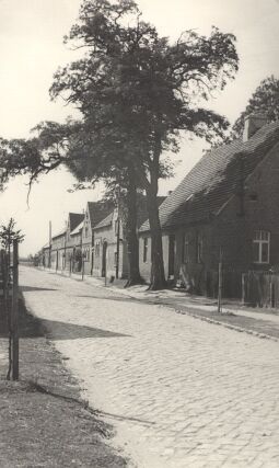 Bild: An der Straße in Bluno