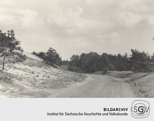 Landschaft bei Burg