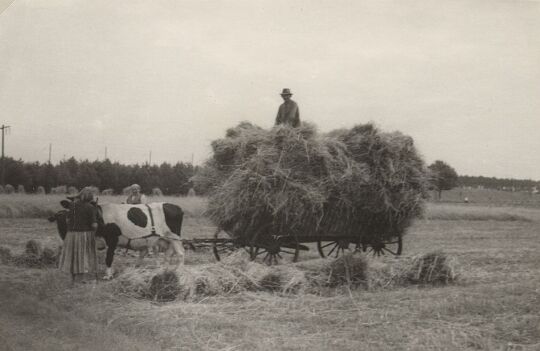 Erntewagen auf einem Feld bei Maukendorf