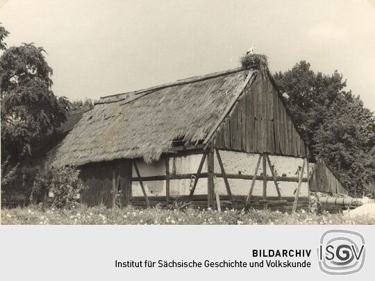 Störche auf einer Scheune in Rauden