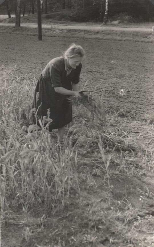 Feldarbeit in Neudorf