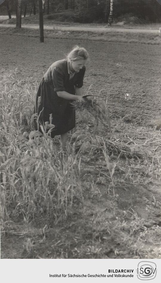 Feldarbeit in Neudorf