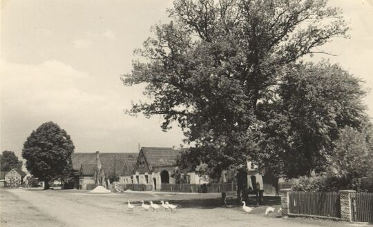 Auf der Dorfstraße in Neuwiese