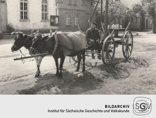 Ochsenfuhrwerk in Sabrodt