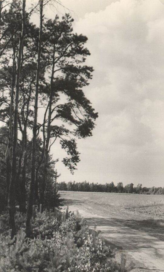 Landschaft bei Zerre