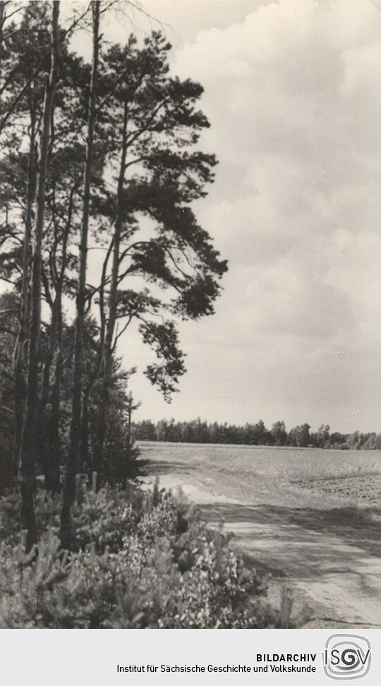 Landschaft bei Zerre