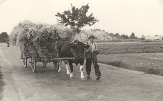 Erntewagen auf der Straße in Wartha