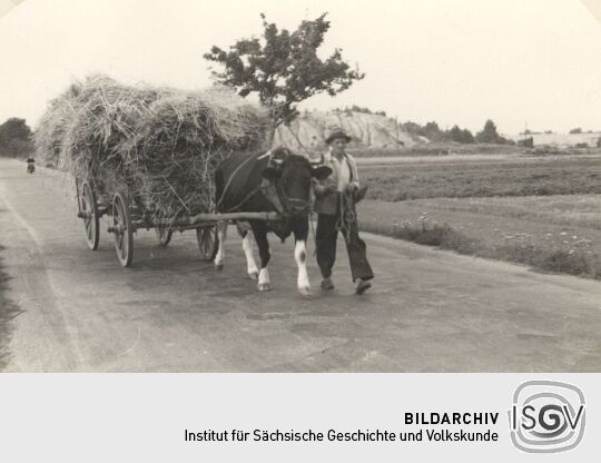 Erntewagen auf der Straße in Wartha