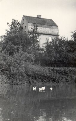 Bild: Dorfteich in Berg