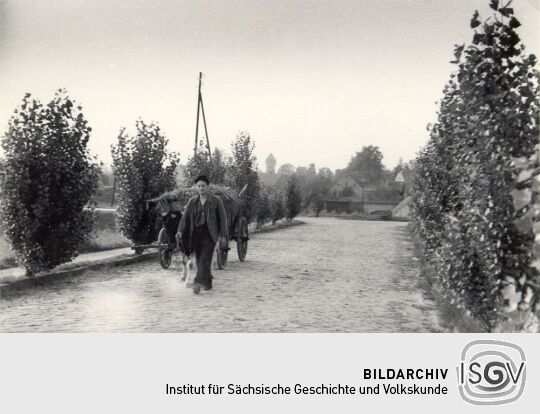 Gespann auf der Straße in Berg