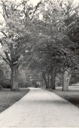 Bild: Park Muskau