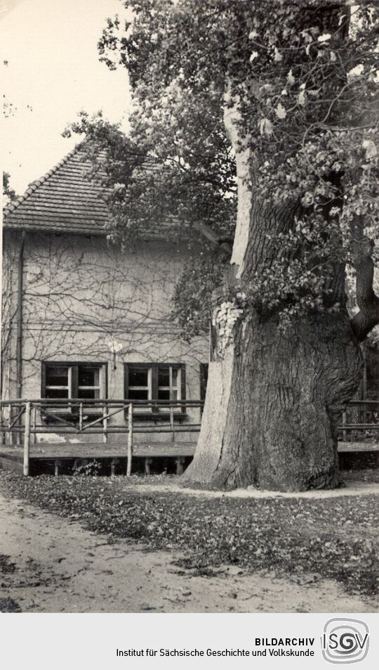 Gaststätte am Braunsteich bei Weißwasser