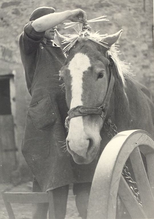 Vorbereitungen für das Osterreiten in Cölln