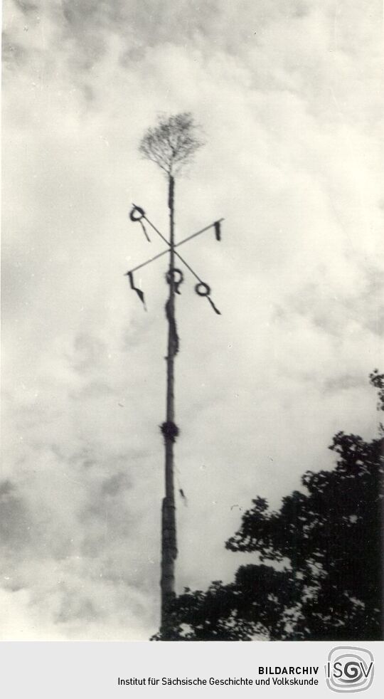 Maibaum in Sabrodt
