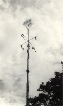 Bild: Maibaum in Sabrodt