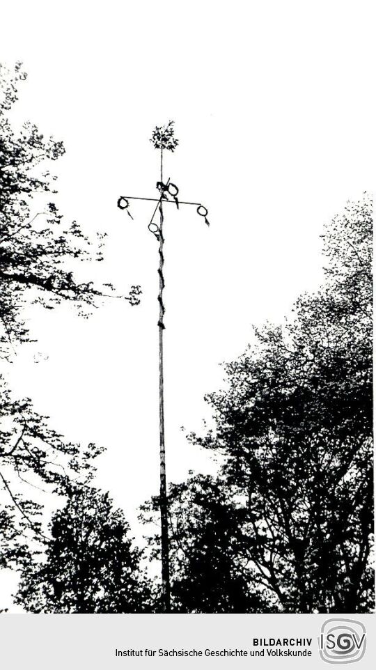 Maibaum in Sabrodt