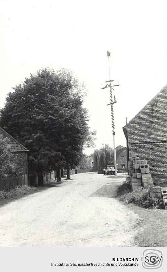 Maibaum in Rohne