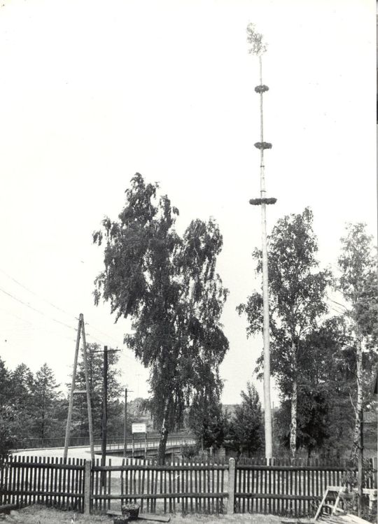 Maibaum in Neustadt