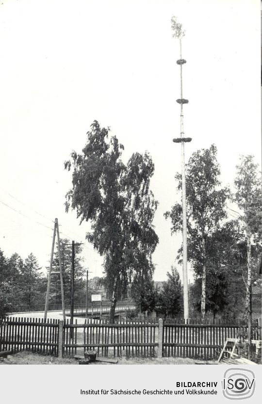 Maibaum in Neustadt