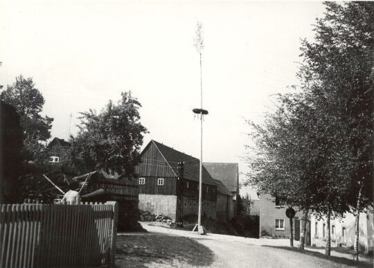 Maibaum in Ostro