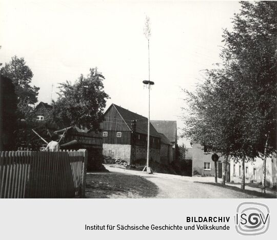 Maibaum in Ostro