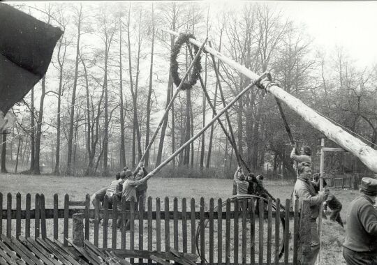 Maibaum in Spohla