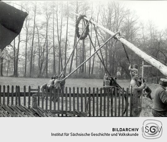 Maibaum in Spohla