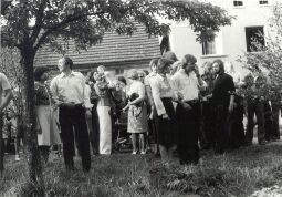 Bild: Maibaumwerfen in Spohla