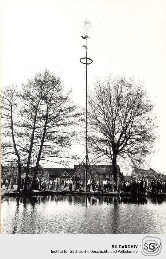 Maibaumwerfen in Groß Zeißig