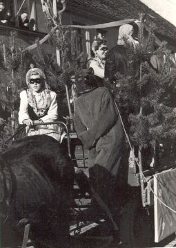 Bild: Fastnacht in Wittichenau