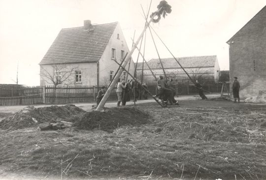 Aufstellen des Maibaumes in Zerna