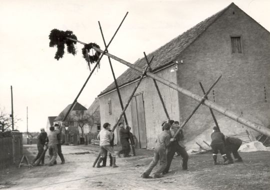 Aufstellen des Maibaumes in Zerna