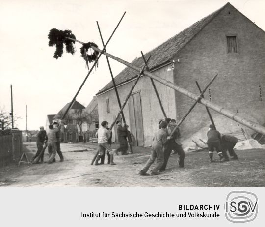 Aufstellen des Maibaumes in Zerna