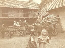 Bild: Hochzeit in Hoyerswerda