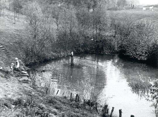 Teich bei Zischkowitz