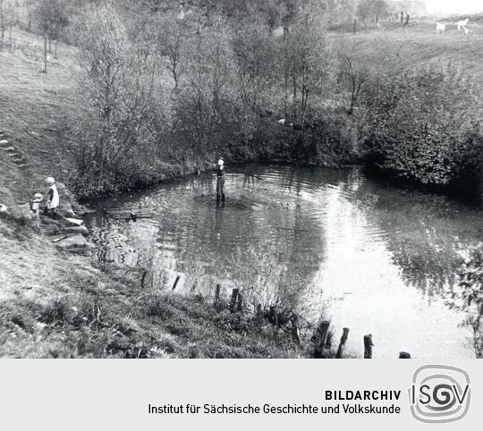 Teich bei Zischkowitz