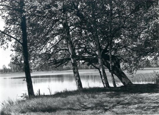 Teich bei Neudorf