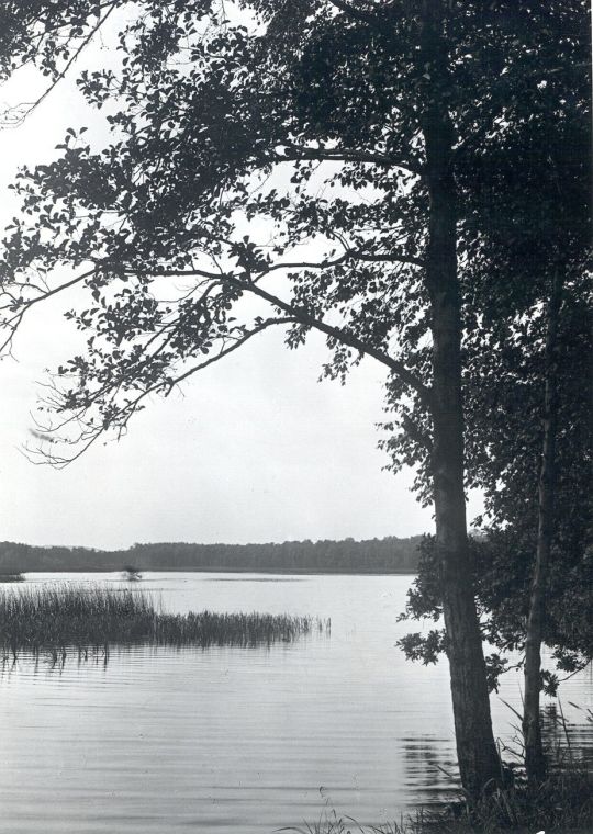 Teich bei Neudorf