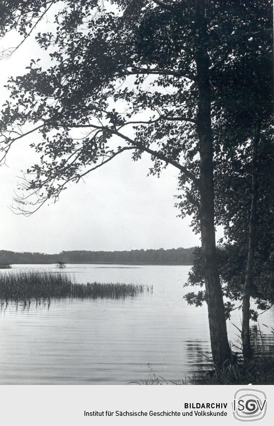 Teich bei Neudorf