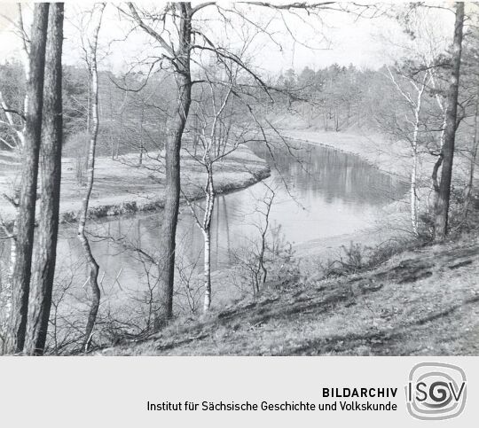 Die Spree zwischen Sprey und Tzschelln