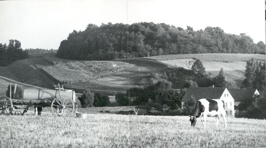 Ostroer Schanze von Norden