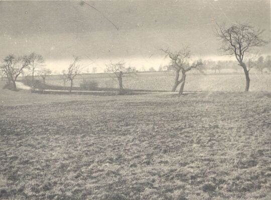 Flurbild bei Pannewitz