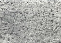 Bild: Konstruktion in Groß Partwitz, Detail