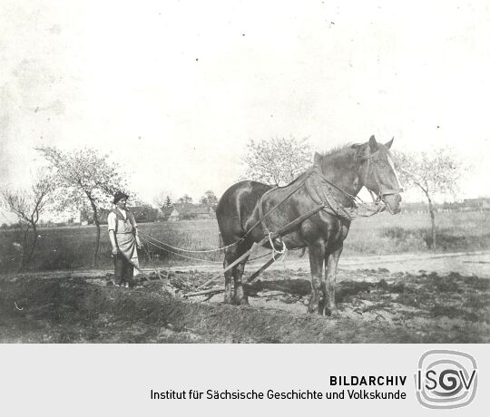 Feldarbeit in Groß Partwitz