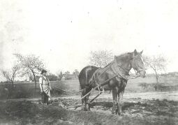 Bild: Feldarbeit in Groß Partwitz