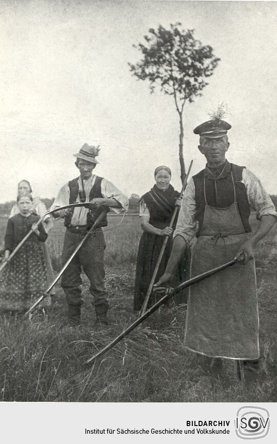 Feldarbeit in Groß Partwitz