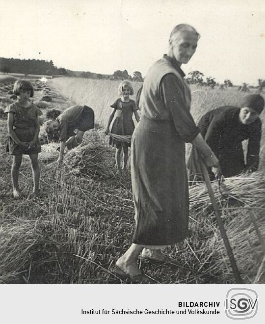 Feldarbeit in Groß Partwitz