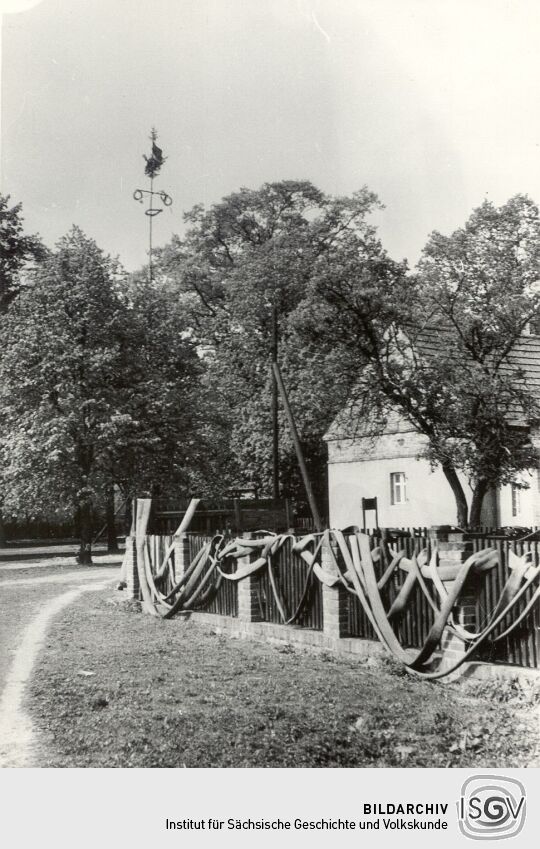 Maibaum in Groß Partwitz